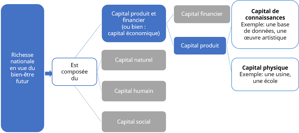 Schéma de l'approche par capitaux : le capital économique